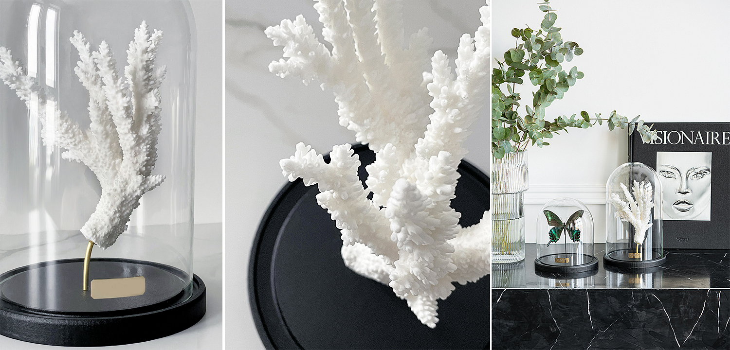 Статуэтка Natural Coral Branch Glass Cloche Статуэтка Natural Coral Branch Glass Cloche - Loft-Concept в Саратове
