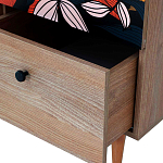 Шкаф с принтом Kario варинант исполнения - 3 | Loft Concept в Саратове