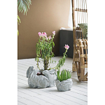 Кашпо A collection of baby rabbits варинант исполнения - 4 | Loft Concept в Саратове