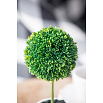 Декоративный искусственное растение Boxwood One варинант исполнения - 8 | Loft Concept в Саратове