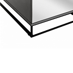 Двухдверный шкаф с зеркальными дверцами Strict Lines варинант исполнения - 4 | Loft Concept в Саратове