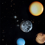 Блюдо Seletti Sun варинант исполнения - 6 | Loft Concept в Саратове