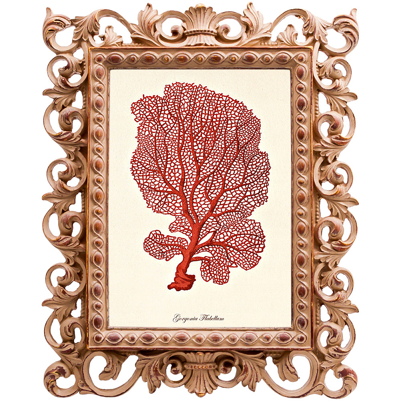 Постер Red Coral Poster 5 Бежевый Красный Постер Red Coral Poster 5 Бежевый Красный в Саратове | Loft Concept