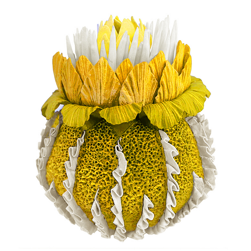 Желтый Экзотический фрукт Yellow Pandora Exotic Fruit 44 Желтый Желтый Экзотический фрукт Yellow Pandora Exotic Fruit 44 Желтый в Саратове | Loft Concept