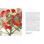 Прекрасно иллюстрированная книга более 100 ботанических произведений Plant Hunters Atlas варинант исполнения - 5 | Loft Concept в Саратове