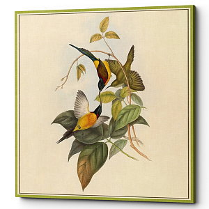 Постер на холсте с изображением птиц и цветов Blooming Birds Poster