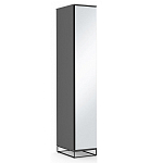 Шкаф-пенал с зеркальной дверцей и фасадом цвета графит Strict Lines варинант исполнения - 2 | Loft Concept в Саратове