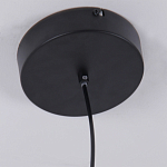 Люстра подвесная светодиодная черный металл Ring Horizontal варинант исполнения - 6 | Loft Concept в Саратове