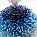 Статуэтка Синий тропический фрукт Tropical Fruit Pandora 4 варинант исполнения - 1 | Loft Concept в Саратове