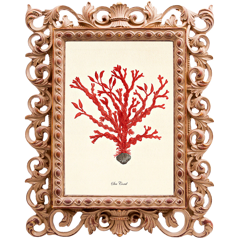 Постер Red Coral Poster 2 Бежевый Красный Постер Red Coral Poster 2 Бежевый Красный в Саратове | Loft Concept