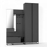 Двухдверный шкаф цвета графит Strict Lines варинант исполнения - 4 | Loft Concept в Саратове