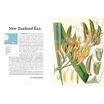 Прекрасно иллюстрированная книга более 100 ботанических произведений Plant Hunters Atlas варинант исполнения - 3 | Loft Concept в Саратове