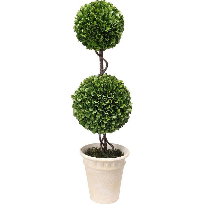 Декоративный искусственное растение Boxwood Зеленый Бежевый Коричневый Декоративный искусственное растение Boxwood Зеленый Бежевый Коричневый в Саратове | Loft Concept