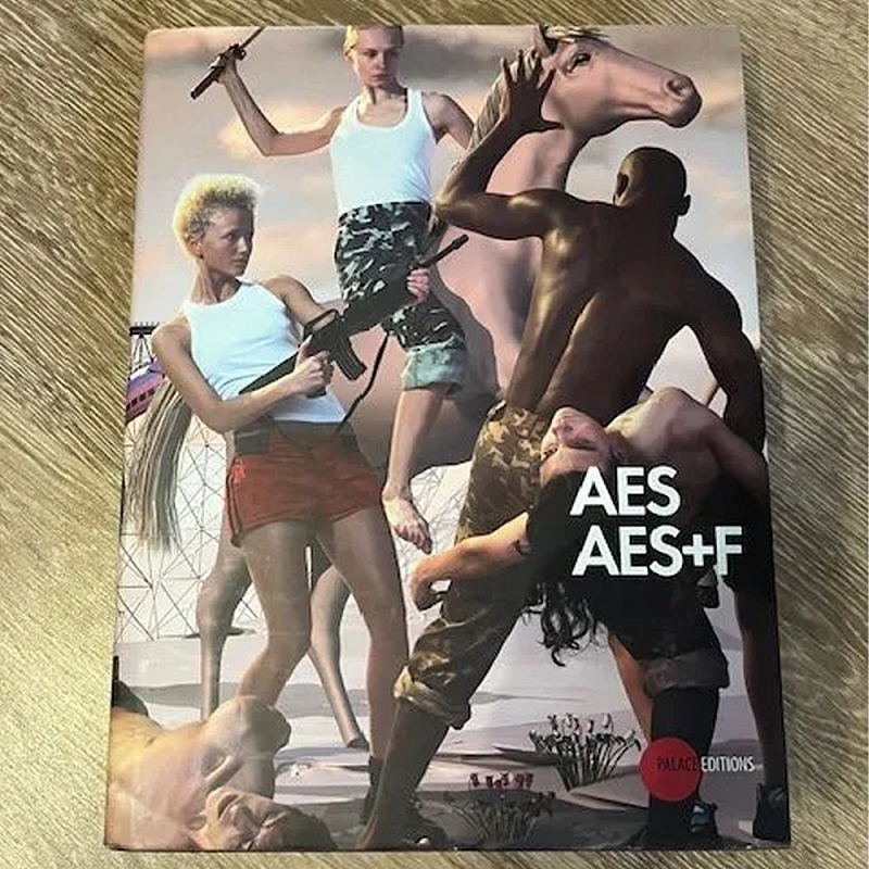 Подарочный Альбом группы AES AES+F Подарочный Альбом группы AES AES+F в Саратове | Loft Concept