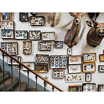 Книга Extraordinary Collections: French Interiors варинант исполнения - 11 | Loft Concept в Саратове