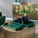 Комплект из двух прямоугольных подносов зеленого цвета Serpent варинант исполнения - 4 | Loft Concept в Саратове