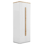 Шкаф платяной с белым глянцевым фасадом Grace of Furniture варинант исполнения - 1 | Loft Concept в Саратове
