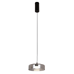 Подвесной светильник Blanton smoky 23 варинант исполнения - 2 | Loft Concept в Саратове