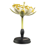 Статуэтка Tilia варинант исполнения - 2 | Loft Concept в Саратове