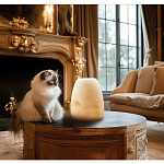 Настольная лампа в форме трапеции из натурального камня Soft Glow of Stone варинант исполнения - 5 | Loft Concept в Саратове