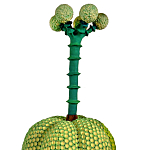 Статуэтка Зеленый тропический фрукт Pandora Tropical Light Green 69 варинант исполнения - 1 | Loft Concept в Саратове