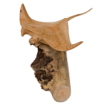 Статуэтка из дерева скат Animals of the World варинант исполнения - 2 | Loft Concept в Саратове