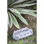 Кашпо Canaries варинант исполнения - 3 | Loft Concept в Саратове