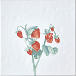 Плитка с узором Земляника варинант исполнения - 2 | Loft Concept в Саратове