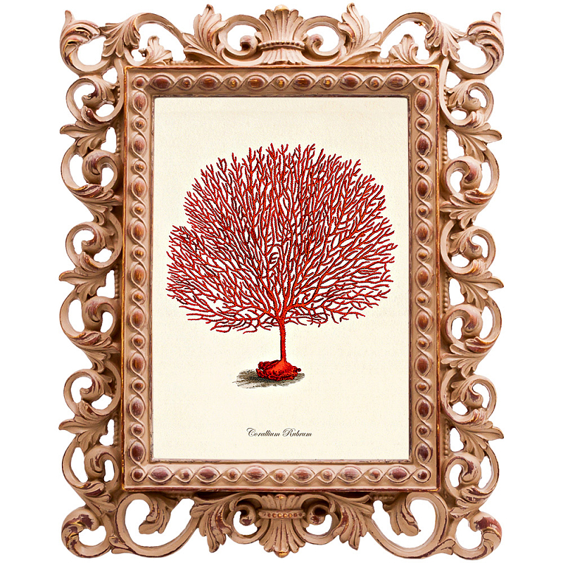 Постер Red Coral Poster 3 Бежевый Красный Постер Red Coral Poster 3 Бежевый Красный в Саратове | Loft Concept