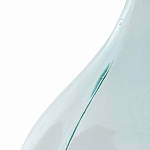 Ваза-бутыль из стекла TRANSPARENT FORMS 56 варинант исполнения - 4 | Loft Concept в Саратове