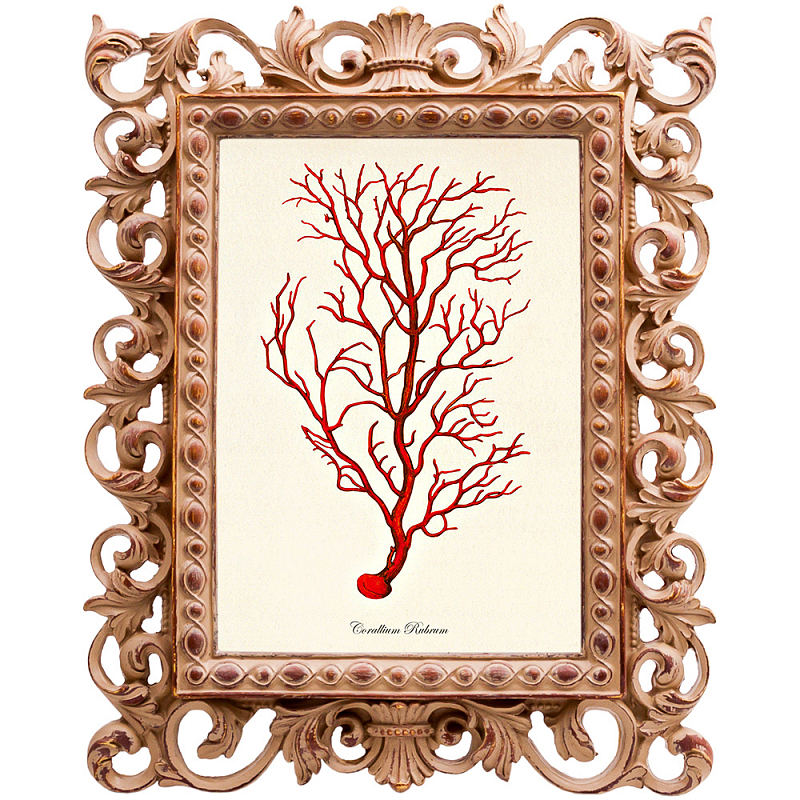 Постер Red Coral Poster 4 Бежевый Красный Постер Red Coral Poster 4 Бежевый Красный в Саратове | Loft Concept