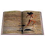 Лимитированная подарочная большая книга CARTIER Panthère варинант исполнения - 12 | Loft Concept в Саратове