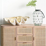 Блюдо декоративное в виде ракушки Seashell варинант исполнения - 1 | Loft Concept в Саратове