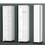 Шкаф-пенал белый с зеркальной дверцей Strict Lines варинант исполнения - 5 | Loft Concept в Саратове