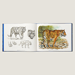 Лимитированная подарочная книга HERMES Fierce and Fragile book, English version варинант исполнения - 2 | Loft Concept в Саратове