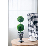 Декоративный искусственное растение Double boxwood варинант исполнения - 5 | Loft Concept в Саратове