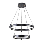 Люстра светодиодная с 2-мя плафонами в форме колец из акрила и алюминия с пультом для регулировки света Ring Horizontal Black варинант исполнения - 4 | Loft Concept в Саратове