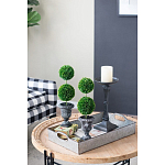 Декоративный искусственное растение Double boxwood варинант исполнения - 8 | Loft Concept в Саратове