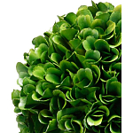 Декоративный искусственное растение Single boxwood варинант исполнения - 2 | Loft Concept в Саратове