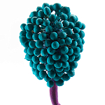 Статуэтка для интерьера фрукт Pandora Tropical Fruit 22 варинант исполнения - 2 | Loft Concept в Саратове