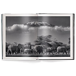 Книга Beusker. Look into my Eyes варинант исполнения - 2 | Loft Concept в Саратове