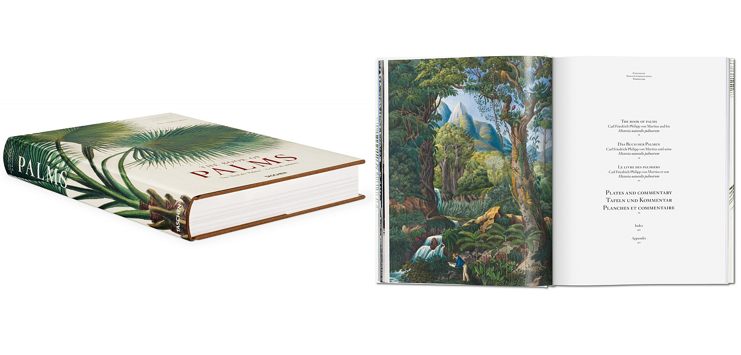 Книга The Book of Palms Книга The Book of Palms - Loft-Concept в Саратове