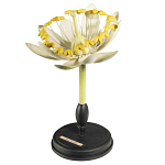 Статуэтка Tilia варинант исполнения - 3 | Loft Concept в Саратове