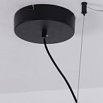 Люстра подвесная светодиодная черный металл Ring Horizontal варинант исполнения - 13 | Loft Concept в Саратове