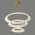 Люстра подвесная с 3-мя кольцевыми светодиодными лампами Catcher варинант исполнения - 1 | Loft Concept в Саратове