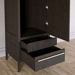 Узкий Шкаф Primo с 2 выдвижными ящиками Темный орех варинант исполнения - 5 | Loft Concept в Саратове