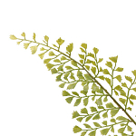 Декоративный искусственное растение Dried flower варинант исполнения - 3 | Loft Concept в Саратове