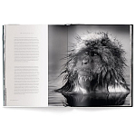 Книга Beusker. Look into my Eyes варинант исполнения - 3 | Loft Concept в Саратове