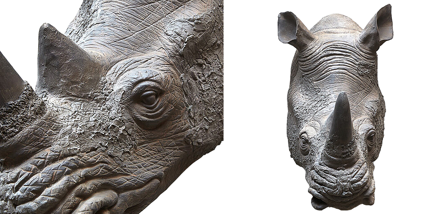 Аксессуар на стену Rhinoceros Аксессуар на стену Rhinoceros - Loft-Concept в Саратове