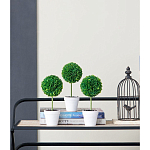 Декоративный искусственное растение Boxwood One варинант исполнения - 9 | Loft Concept в Саратове